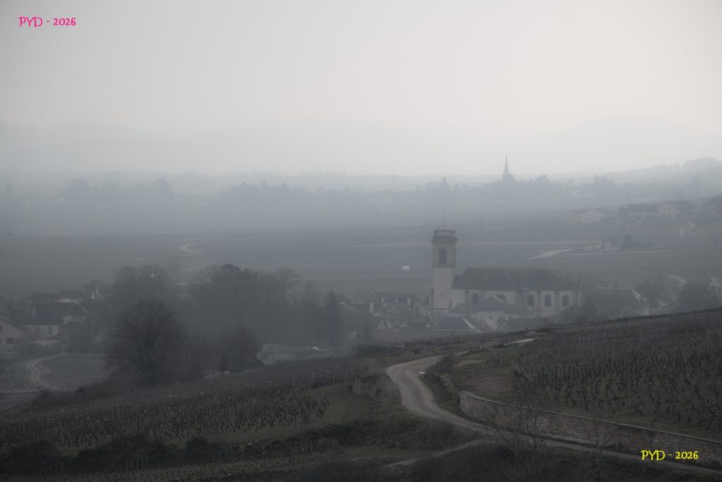 Bourgogne - Pommard