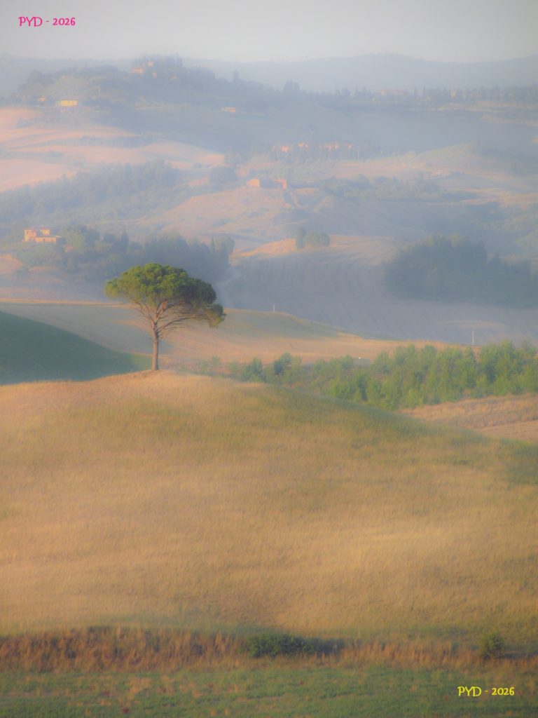 Chlorophylle - Italie