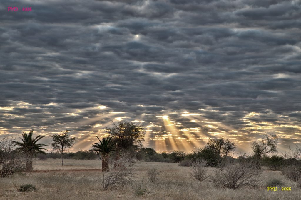 Ciels - Namibie