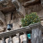 Arts & Vie - Kotor - Montenegro