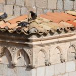 Arts & Vie - Dubrovnik - Croatie
