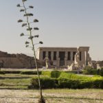 Arts & Vie - Denderah - Egypte