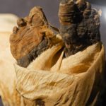 Arts & Vie - Musée de Louxor - Egypte