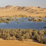 Arts & Vie -Wadi es Seboua - Egypte