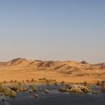 Arts & Vie -Wadi es Seboua - Egypte
