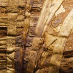 Arts & Vie - Alexandrie - Egypte