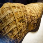 Arts & Vie - Alexandrie - Egypte