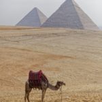 Arts & Vie - Le Caire - Guizeh - Egypte