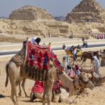Arts & Vie - Le Caire - Guizeh - Egypte