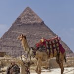 Arts & Vie - Le Caire - Guizeh - Egypte