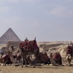 Arts & Vie - Le Caire - Guizeh - Egypte