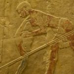 Arts & Vie - Le Caire - Mastaba de Ti - Egypte