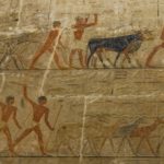 Arts & Vie - Le Caire - Mastaba de Ti - Egypte