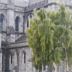 Arts & Vie - Dublin - Irlande