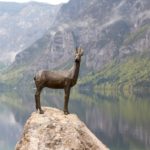 Arts & Vie - Parc de Triglav - Slovénie