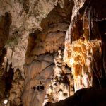 Arts & Vie Grottes de Postojna - Slovénie