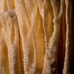 Arts & Vie Grottes de Postojna - Slovénie