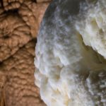 Arts & Vie Grottes de Postojna - Slovénie
