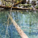Arts & Vie - Parc de Plitvice - Croatie