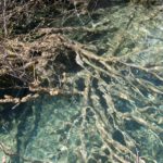 Arts & Vie - Parc de Plitvice - Croatie