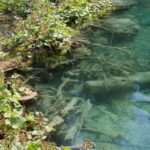 Arts & Vie - Parc de Plitvice - Croatie