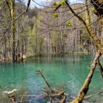 Arts & Vie - Parc de Plitvice - Croatie