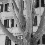 Arts & Vie - Zadar - Croatie