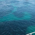 Arts & Vie - Peljesac - Croatie