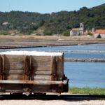 Arts & Vie - Peljesac - Croatie