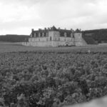 Noir & blanc - Bourgogne
