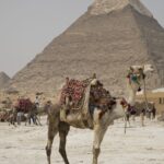 Arts & Vie - Le Caire - Egypte