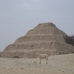Arts & Vie - Le Caire - Egypte