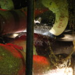 Vin - Bourgogne