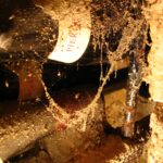 Vin - Bourgogne