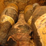 Vin - Bourgogne