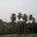 Arts & Vie - Nil - Egypte