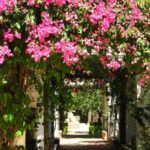 Séville - Andalousie - Espagne