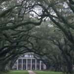 Arts & Vie - Plantations - Louisiane