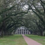 Arts & Vie - Plantations - Louisiane
