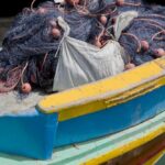 Arts & Vie - Marsaxlokk - Malte