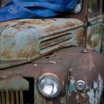 Arts & Vie - Les bayous - Etats-Unis