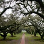Arts & Vie - Plantations - Louisiane