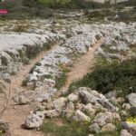 Arts & Vie - M'Dina Rabat Mosta - Malte