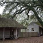 Arts & Vie - Plantations - Louisiane