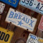 Arts & Vie - Les bayous - Etats-Unis