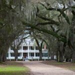 Arts & Vie - Plantations - Louisiane