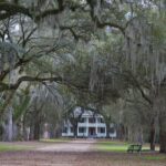 Arts & Vie - Plantations - Louisiane