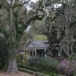 Arts & Vie - Plantations - Louisiane