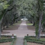 Arts & Vie - Plantations - Louisiane