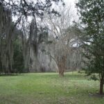 Arts & Vie - Plantations - Louisiane